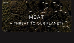 Your levy bodies' response to the BBC's Meat: A Threat to Our Planet
